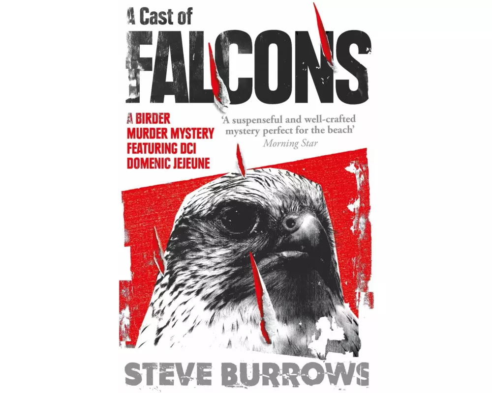 A Cast of Falcons