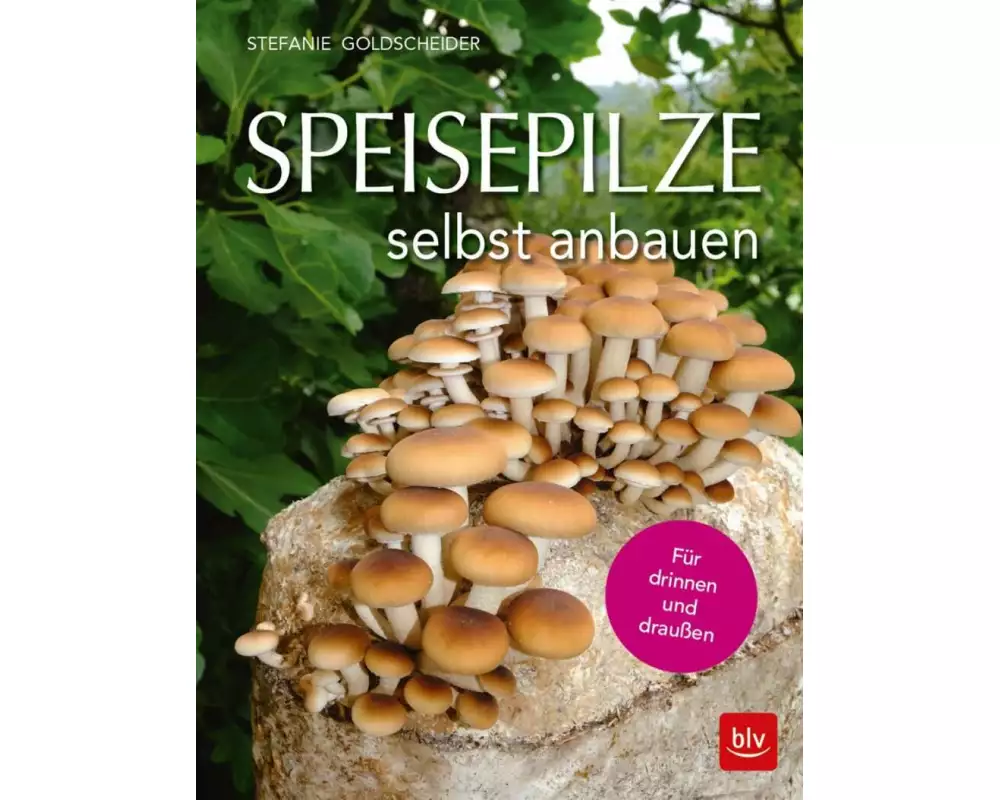 Speisepilze selbst anbauen