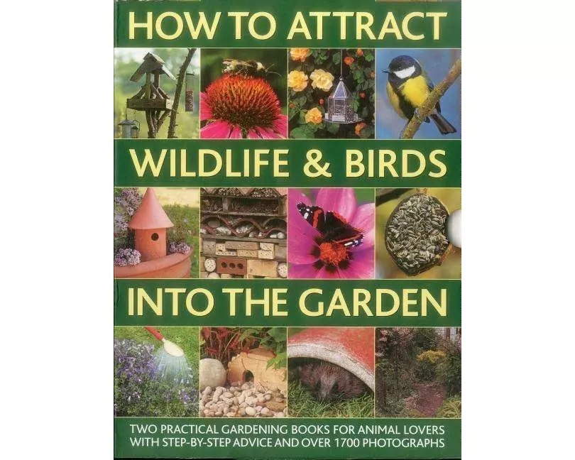 How to Attract Wildlife & Birds into the Garden