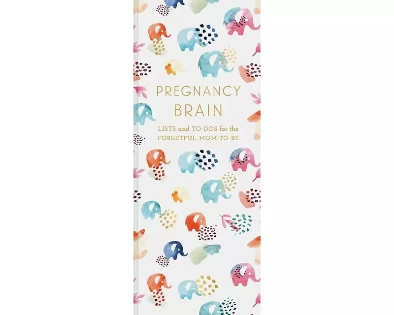 Pregnancy Brain Lists and To-Dos