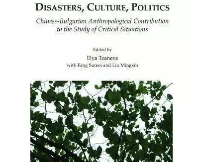 Disasters, Culture, Politics