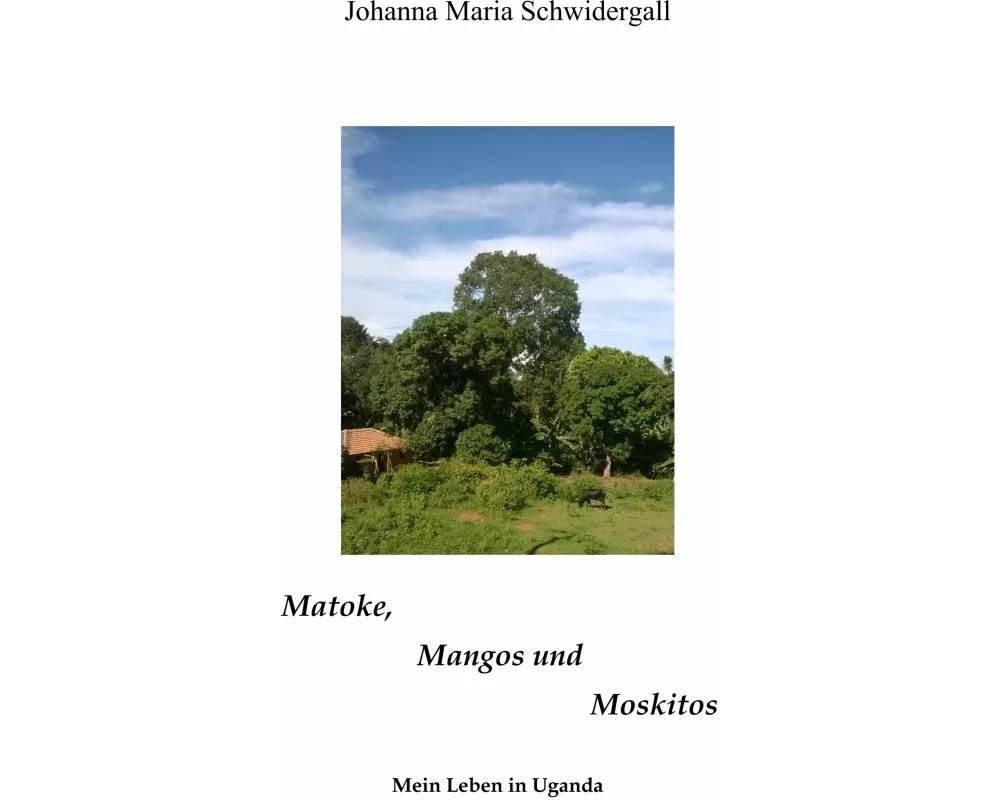 Matoke, Mangos und Moskitos