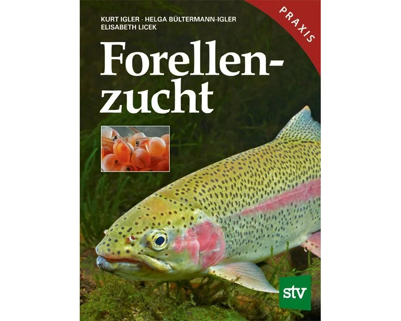Forellenzucht