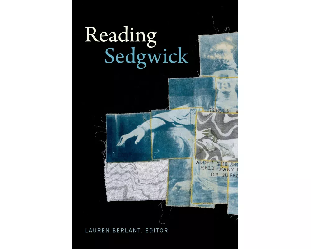 Reading Sedgwick