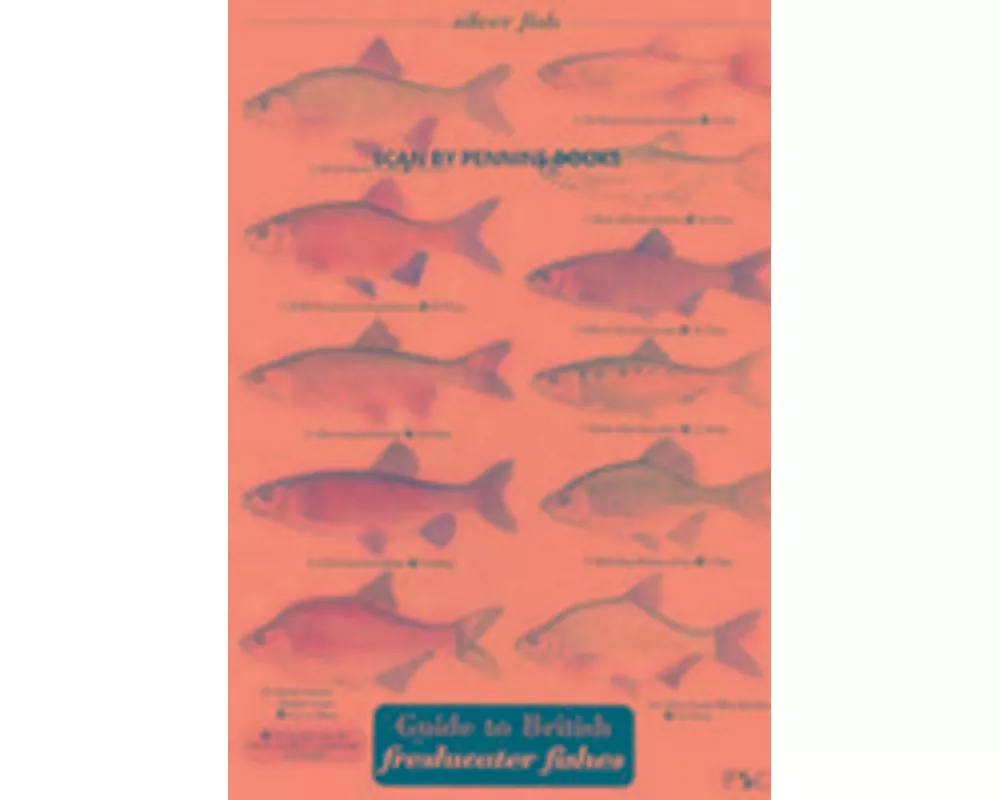 Guide to British Freshwater Fishes