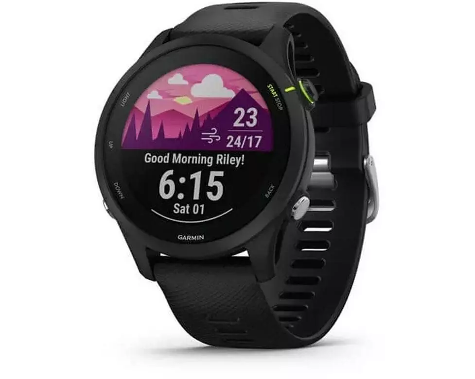 GARMIN GPS-Sportuhr Forerunner 255 Music Schwarz/Schwarz