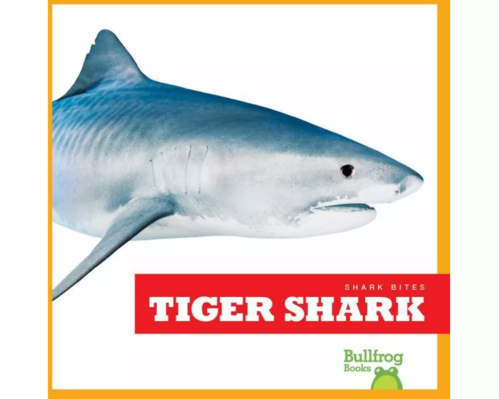 Tiger Shark