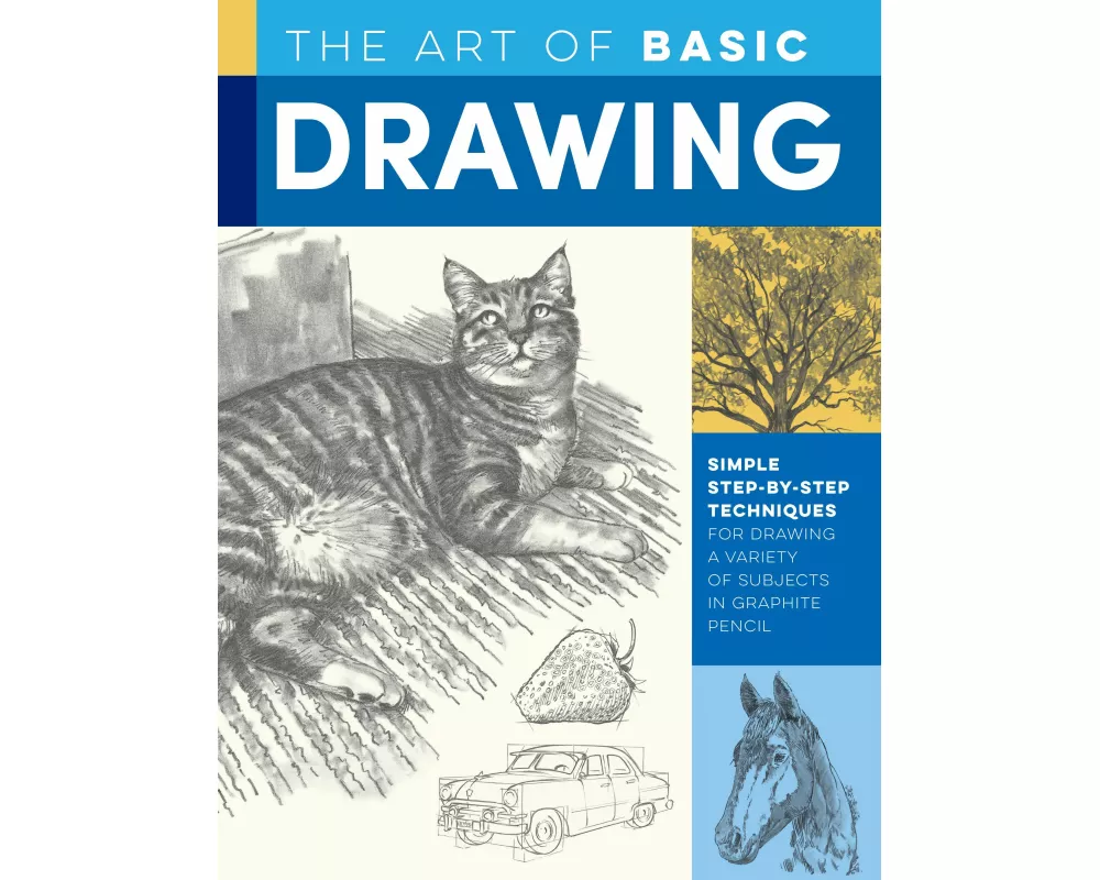 Art of Basic Drawing