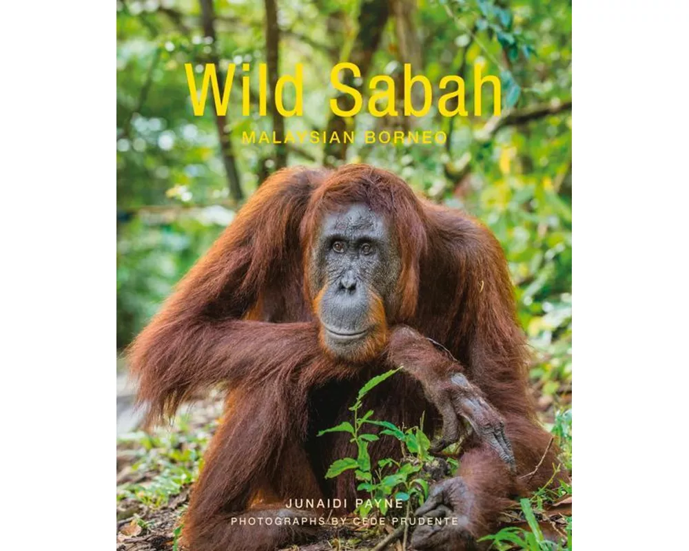 Wild Sabah