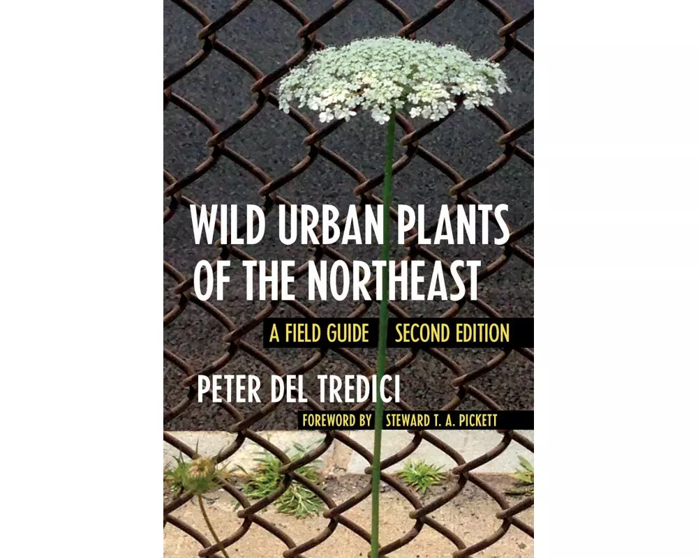 Wild Urban Plants of the Northeast