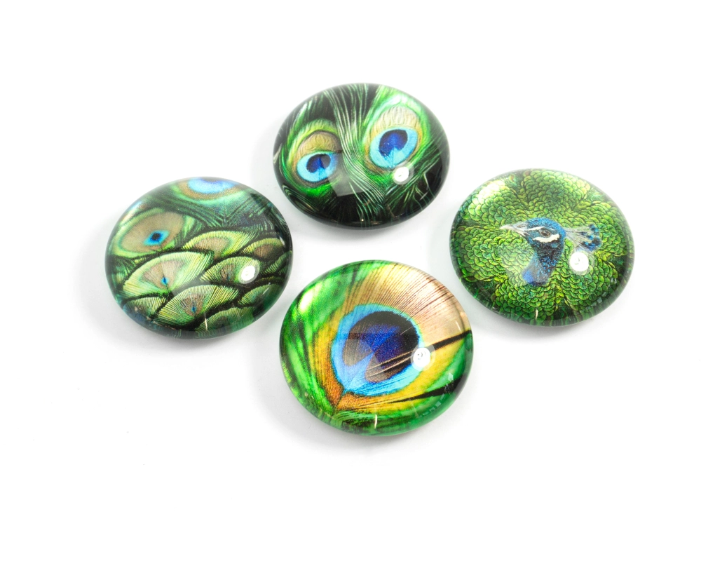 TRENDFORM EYE Magnete PEACOCK EY2020 4er Set