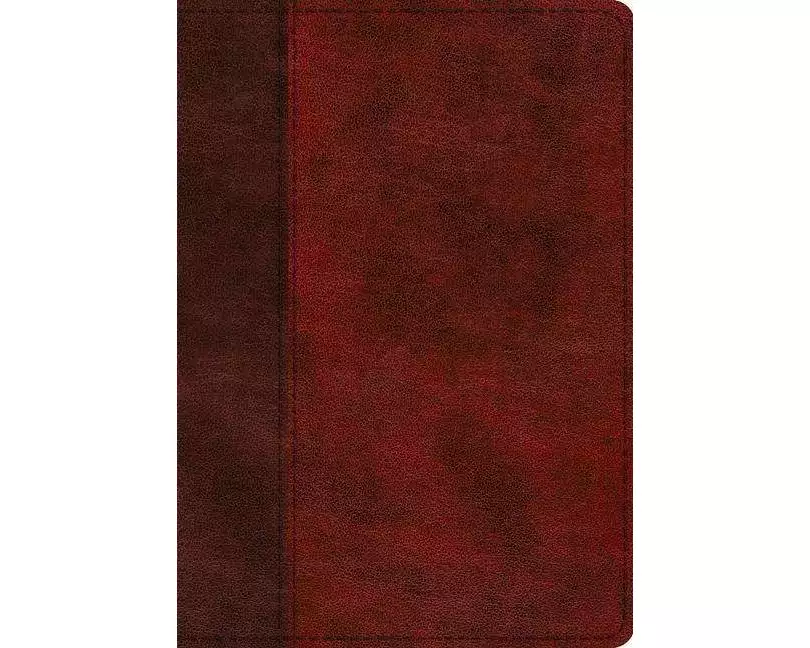 ESV Single Column Journaling Bible, Large Print