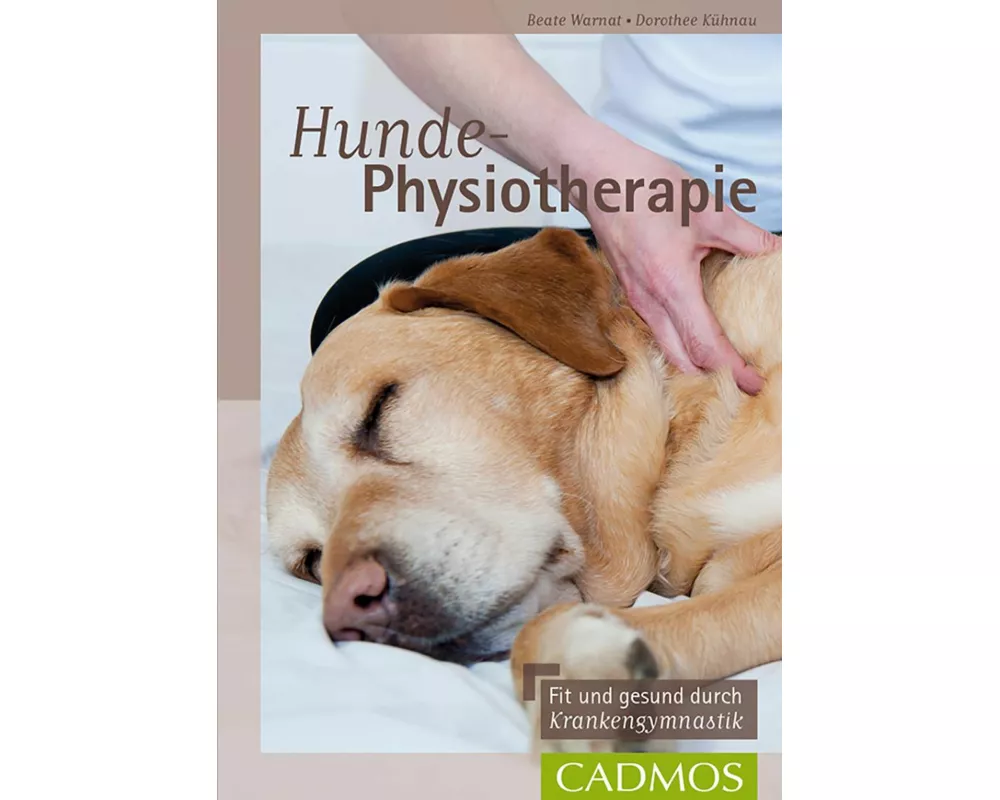 Hunde-Physiotherapie
