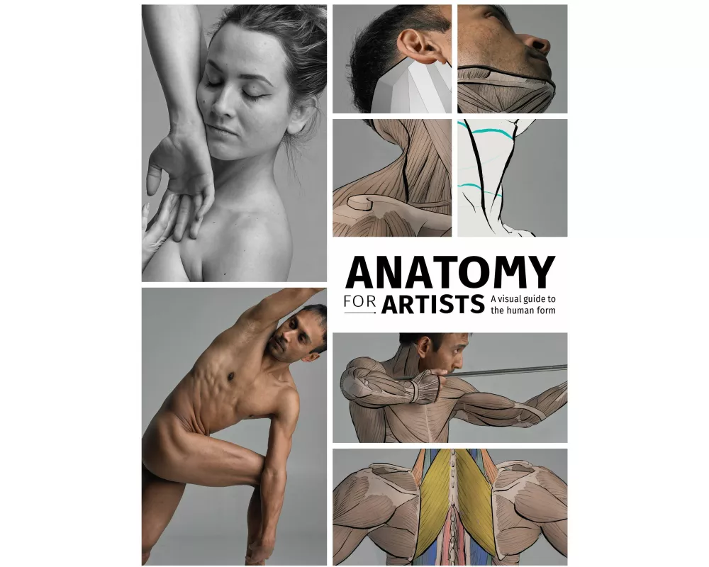 Anatomy for Artists