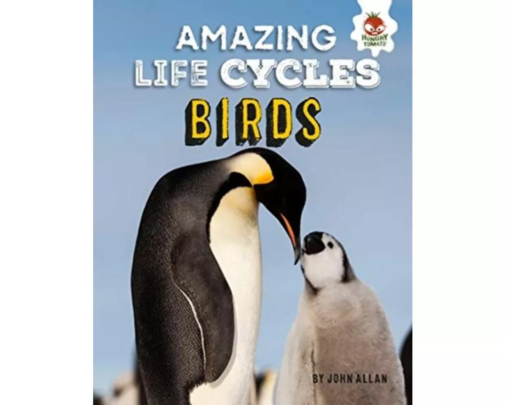 Amazing Life Cycles-Birds