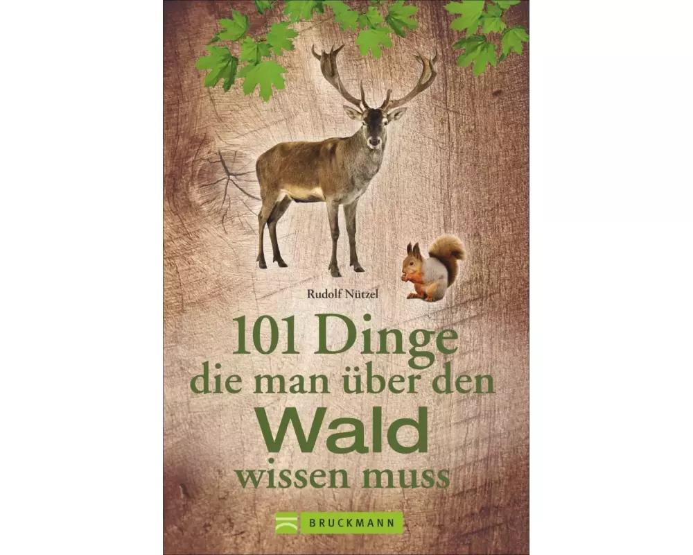 101 Dinge, die man über den Wald wissen muss