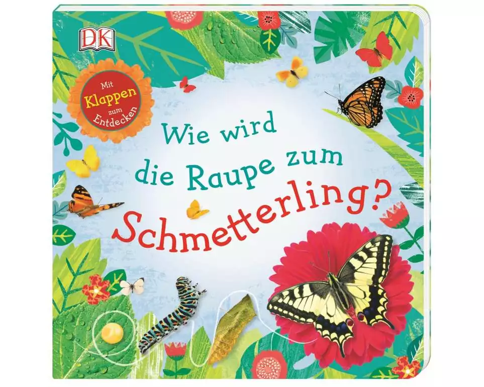 Wie wird die Raupe zum Schmetterling?