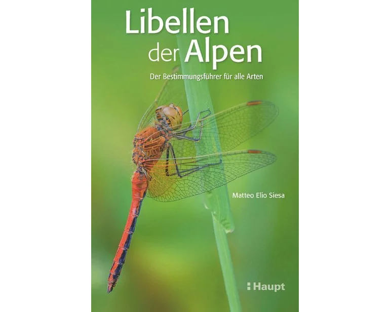 Libellen der Alpen