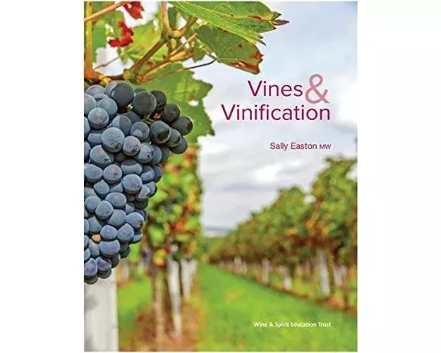 Vines & Vinification