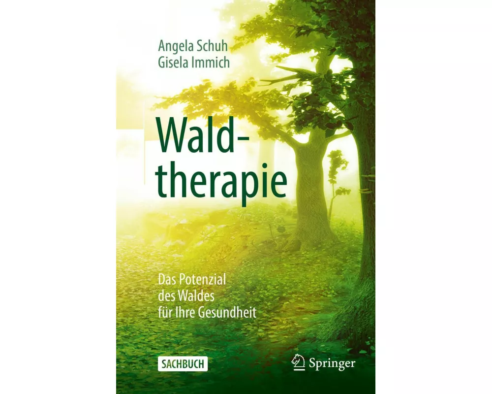 Waldtherapie - das Potential des Waldes für Ihre Gesundheit