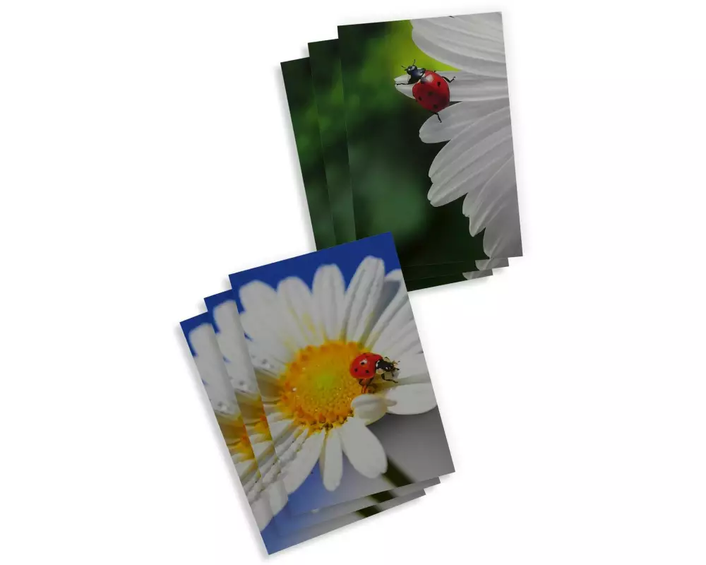 ABC Motivkarte Blumen A6, 6 Stück