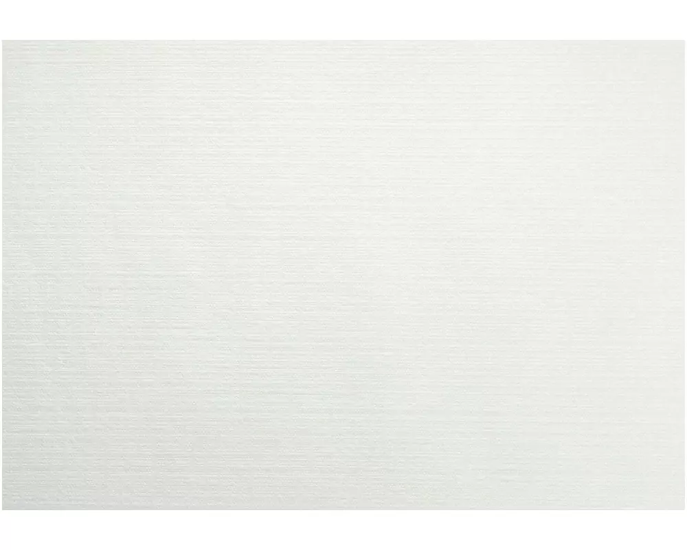 Duni Tischset Uni 75 Stück, 30 cm x 40 cm, Weiss