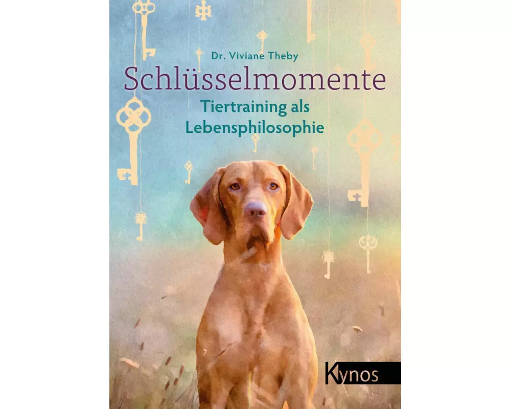 Schlüsselmomente