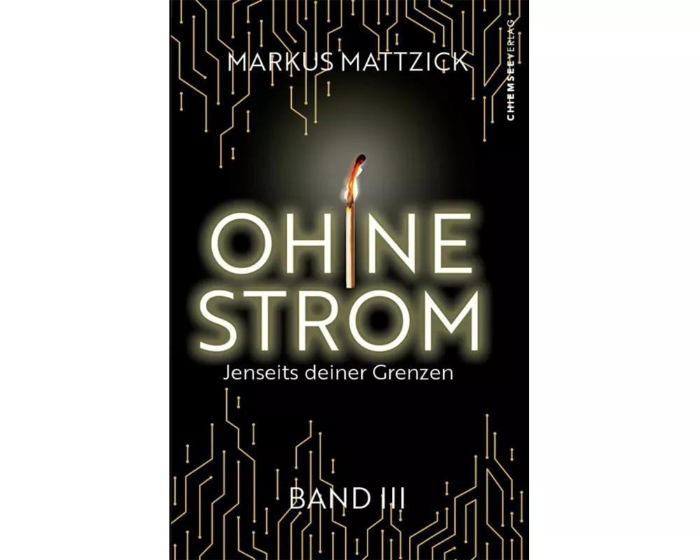 Ohne Strom - Jenseits deiner Grenzen (Band 3)
