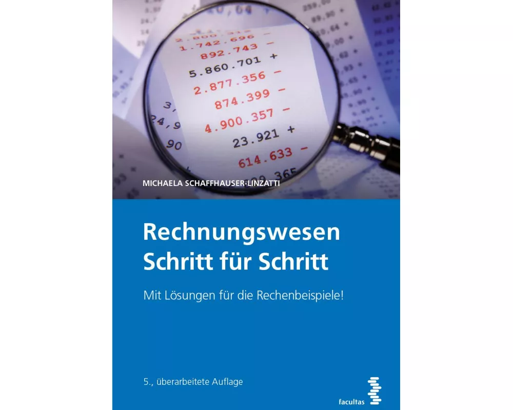 Rechnungswesen Schritt für Schritt