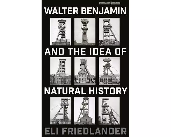 Walter Benjamin and the Idea of Natural History