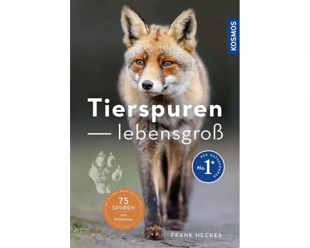 Tierspuren lebensgroß