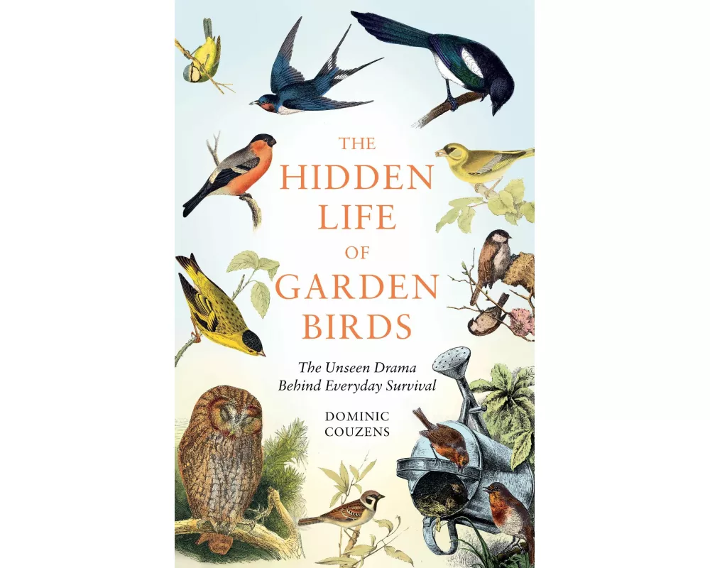 The Hidden Life of Garden Birds