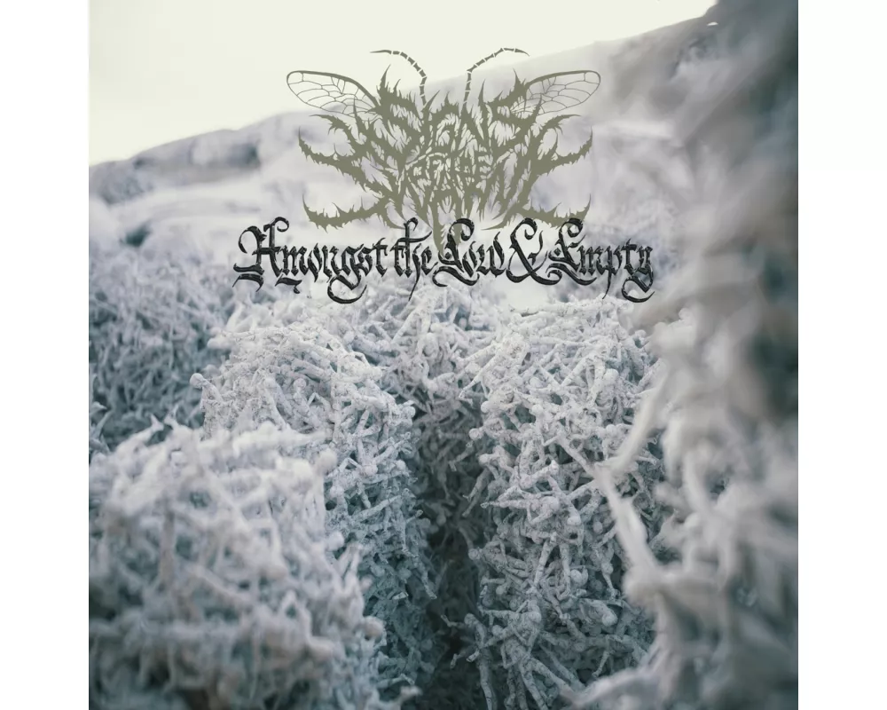 Amongst The Low & Empty