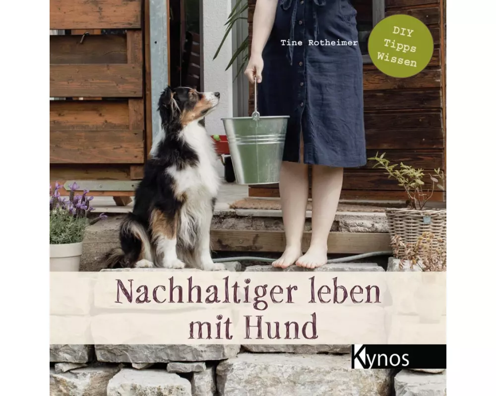 Nachhaltiger leben mit Hund