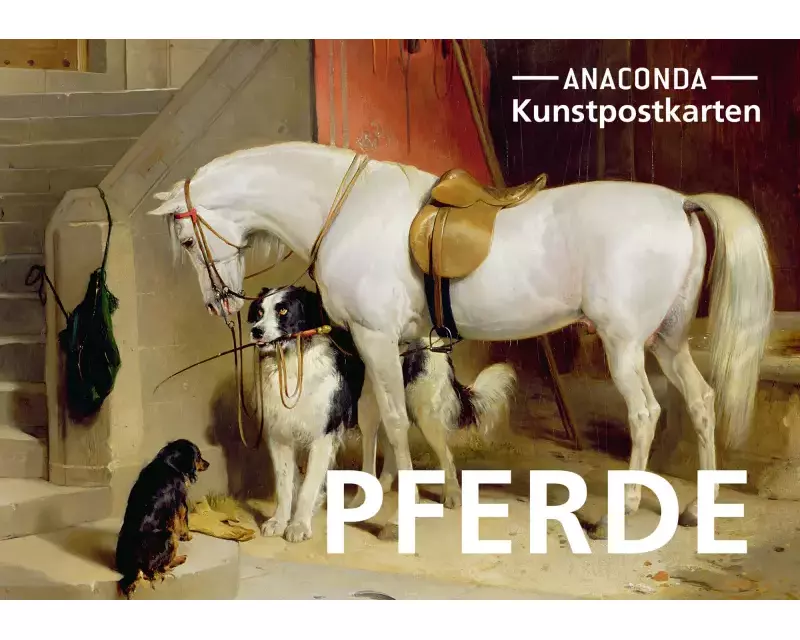 Postkarten-Set Pferde