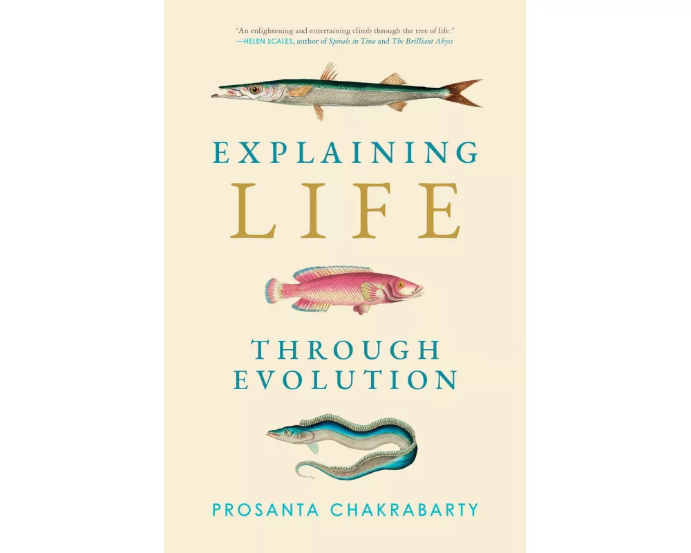 Explaining Life through Evolution