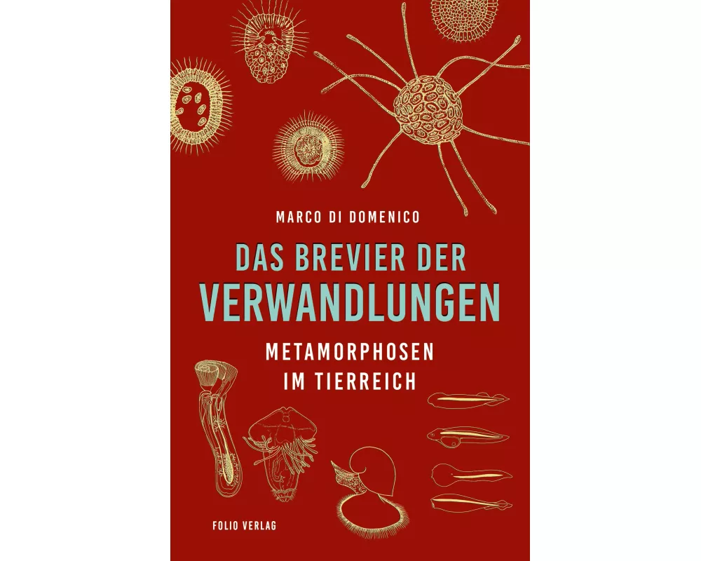 Das Brevier der Verwandlungen