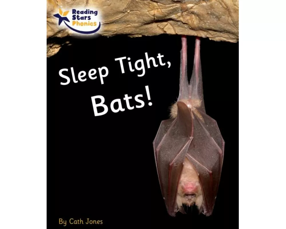 Sleep Tight, Bats!
