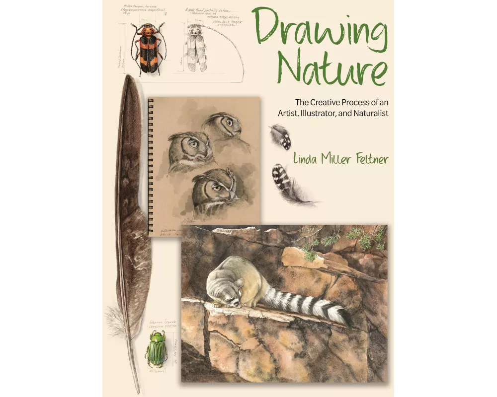 Drawing Nature