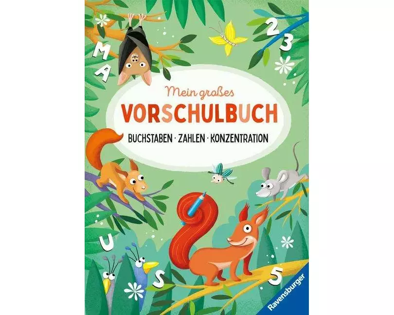 Mein großes Vorschulbuch: Buchstaben Zahlen Konzentration