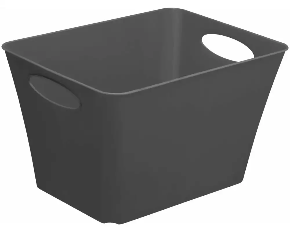 Rotho Aufbewahrungsbox Living Box 24 l, Anthrazit