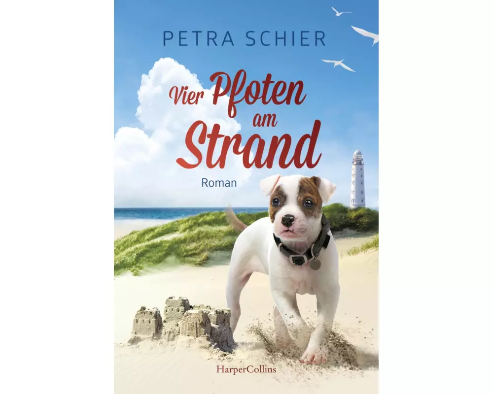 Vier Pfoten am Strand