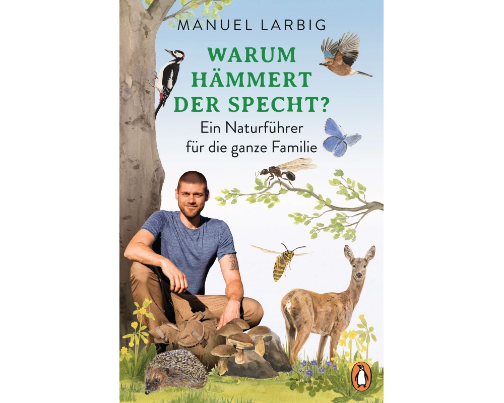 Warum hämmert der Specht?