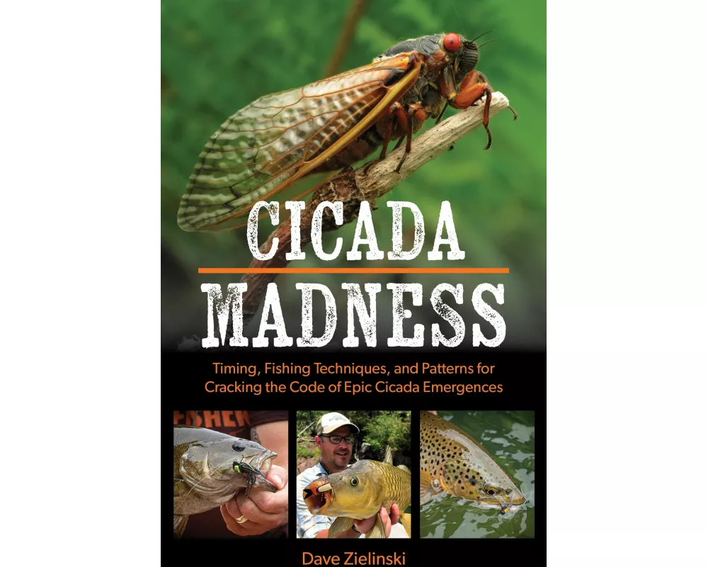 Cicada Madness