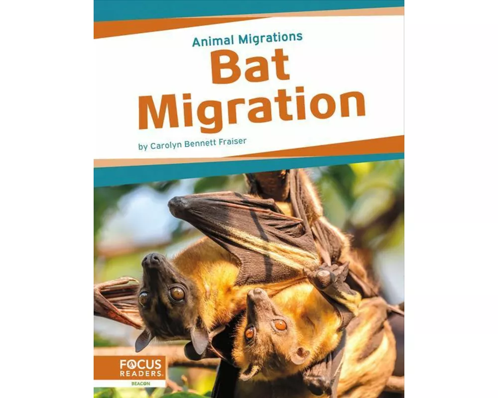 Bat Migration