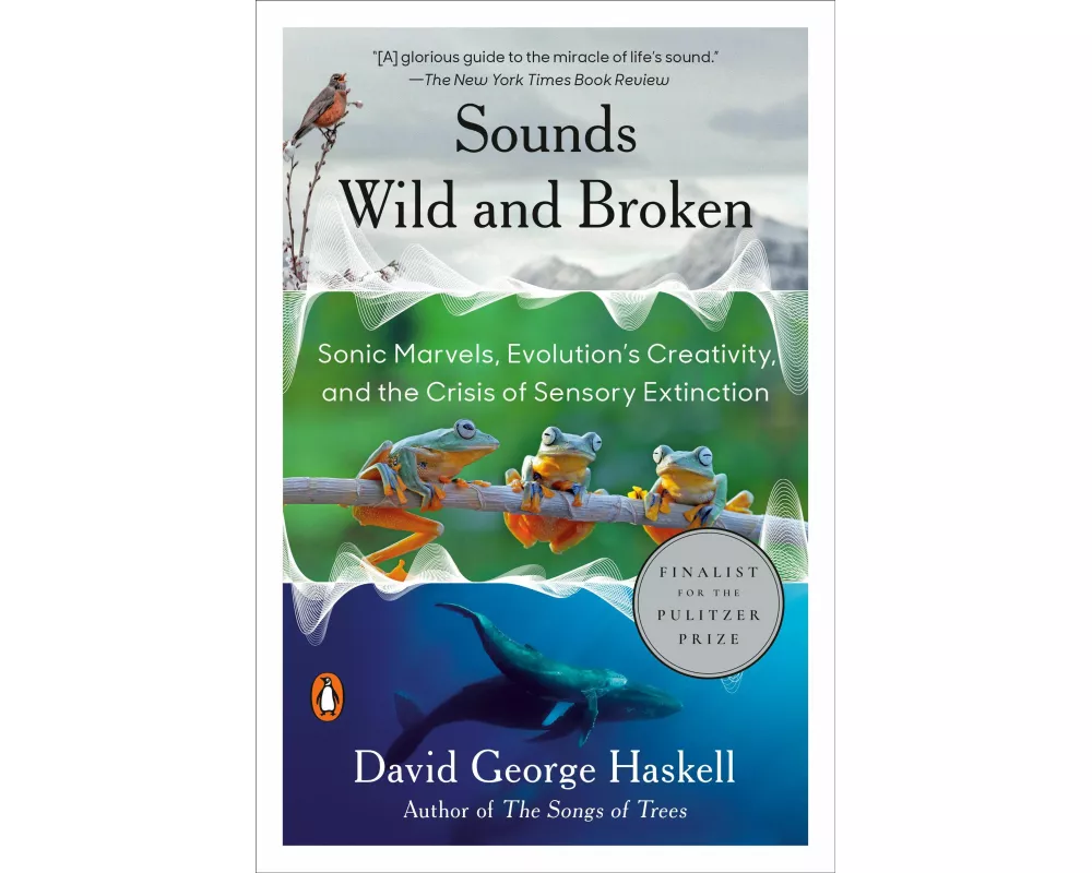 Sounds Wild and Broken