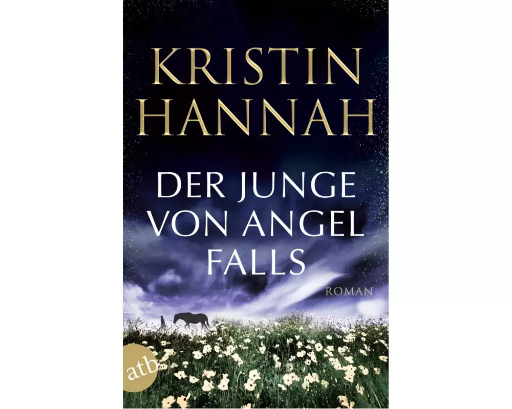 Der Junge von Angel Falls