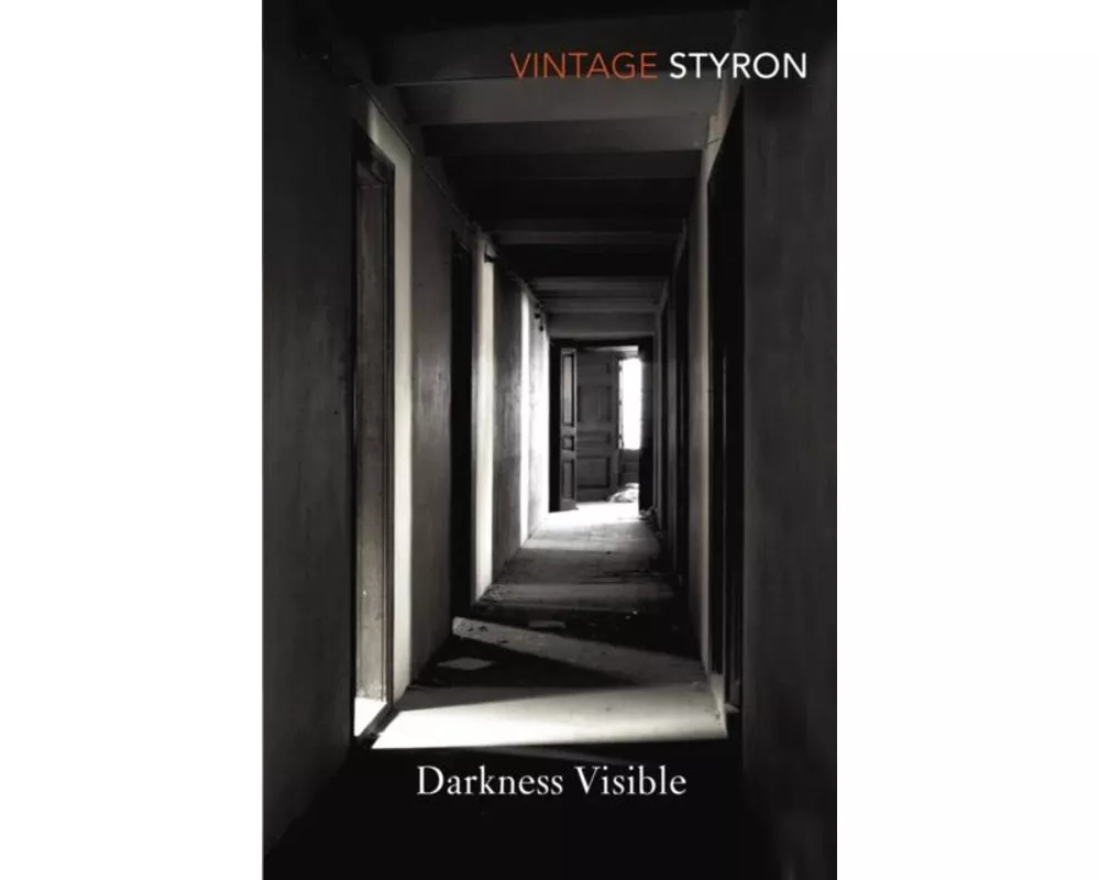 Darkness Visible