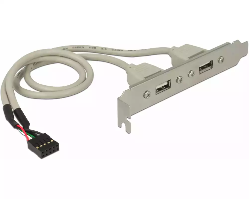 Delock Bracket 2x USB2.0 Pin Header intern