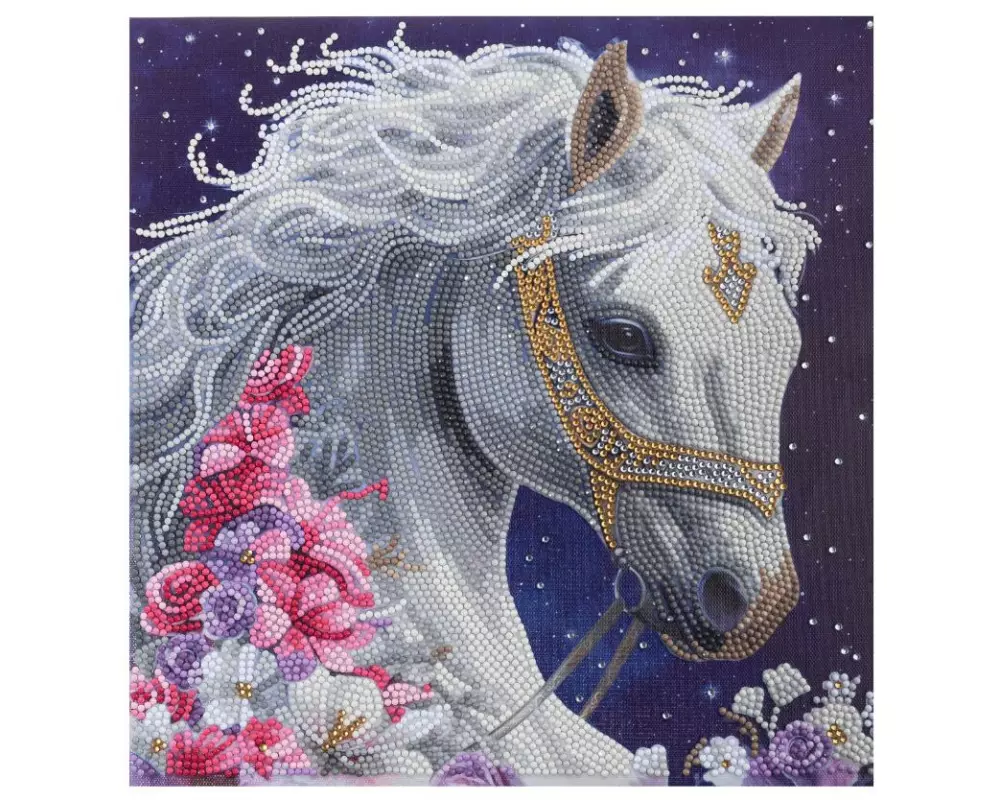 CRAFT Buddy Bastelset Mystic Beauty Crystal Art Kit 30 x 30 cm